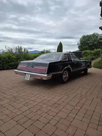 Ford Thunderbird 1978 photo 3