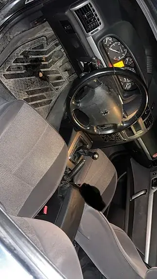 Peugeot 407 2005 photo 4