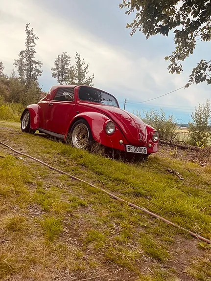 Volkswagen Boble