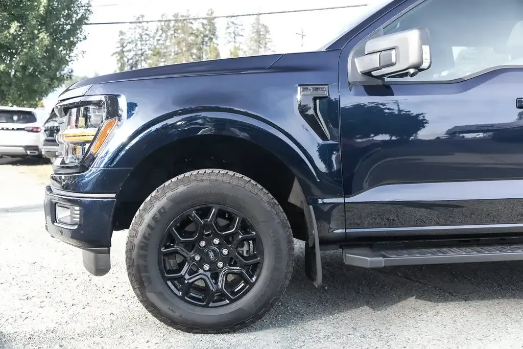 Ford F-150 2025 photo 4