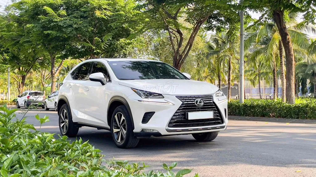 Lexus Nx 2019 photo 4