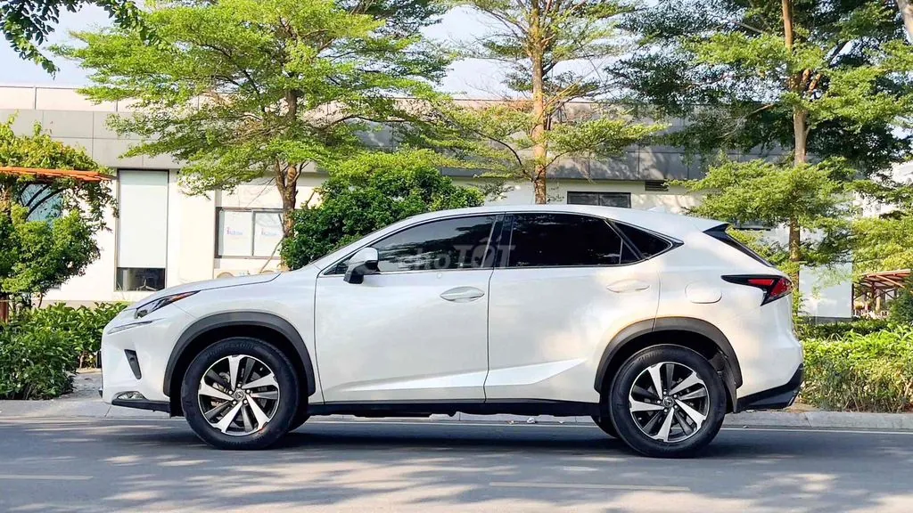 Lexus Nx 2019 photo 3