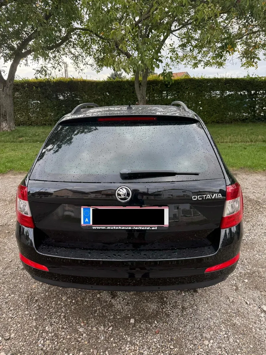Skoda Octavia 2015 photo 2