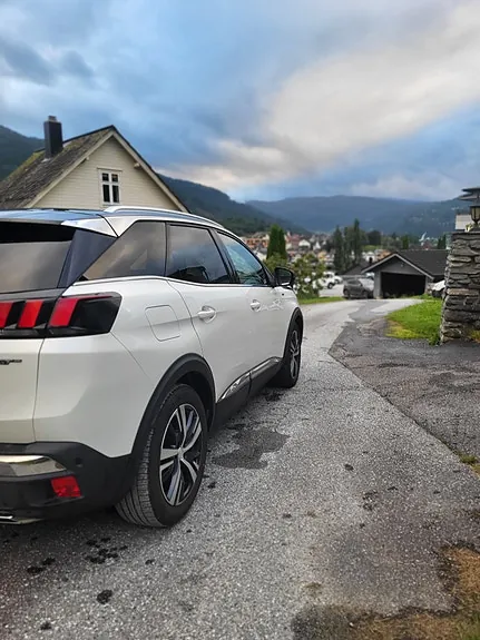 Peugeot 3008 2017 photo 2