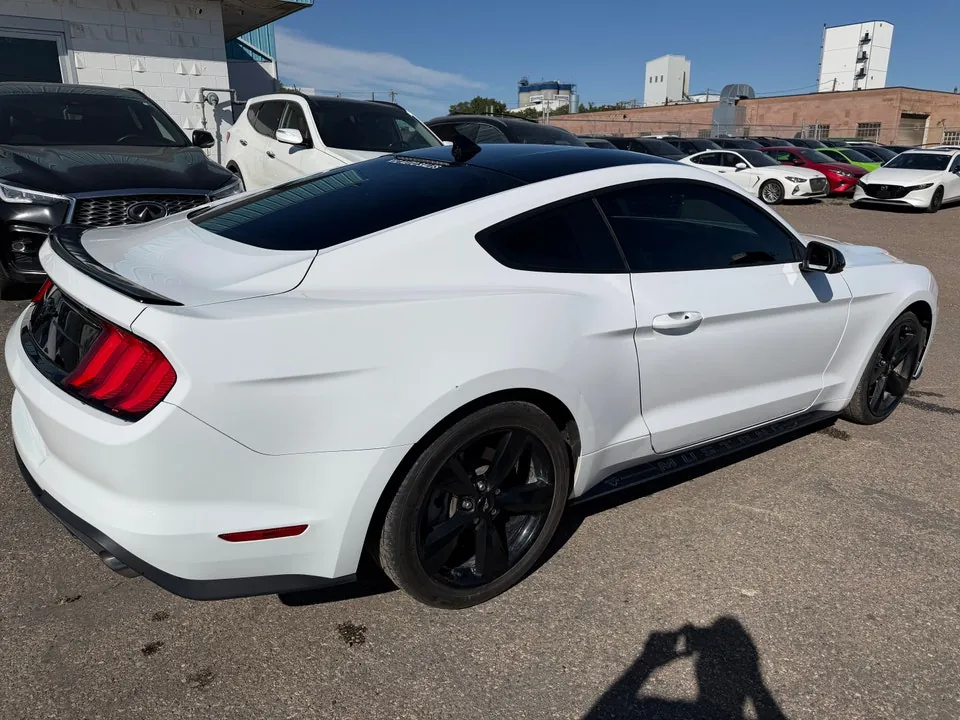 Ford Mustang 2022 photo 2