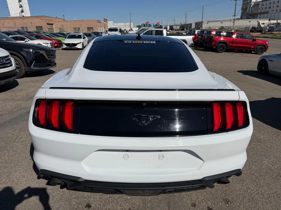 Ford Mustang 2022 photo 3