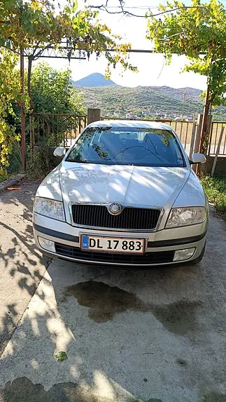 Skoda Octavia 2007 photo 2