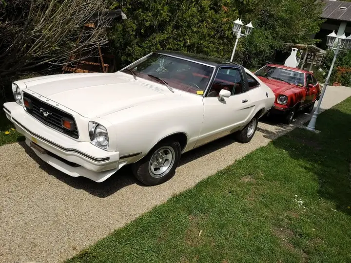 Ford Mustang 1978 photo 2