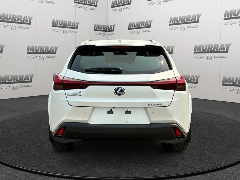 Lexus Ux 2022 photo 5