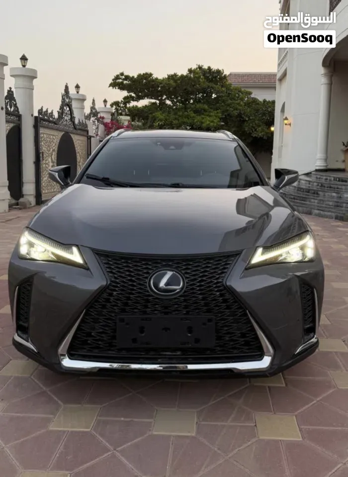 Lexus Ux 2020 photo 2