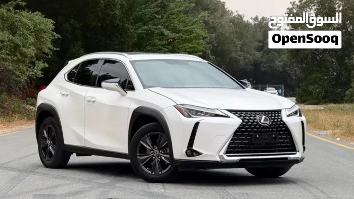 Lexus Ux 2020 photo 5