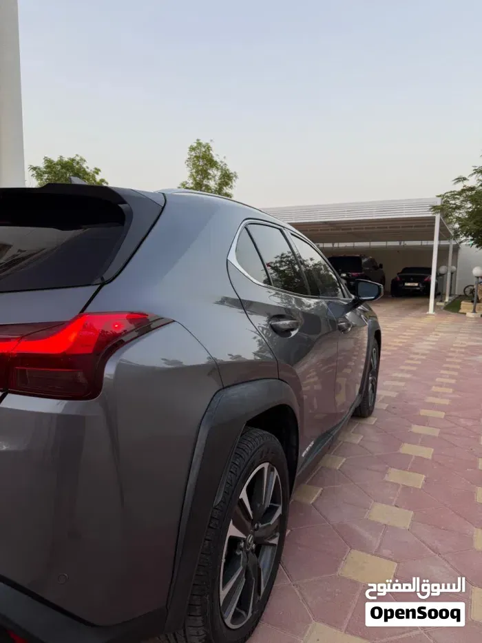 Lexus Ux 2020 photo 4