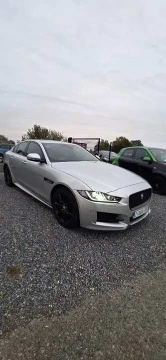 Jaguar Xe 2015 photo 2