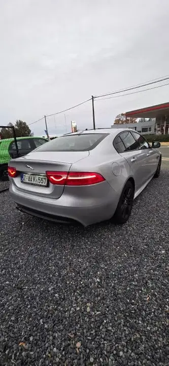 Jaguar Xe 2015 photo 3