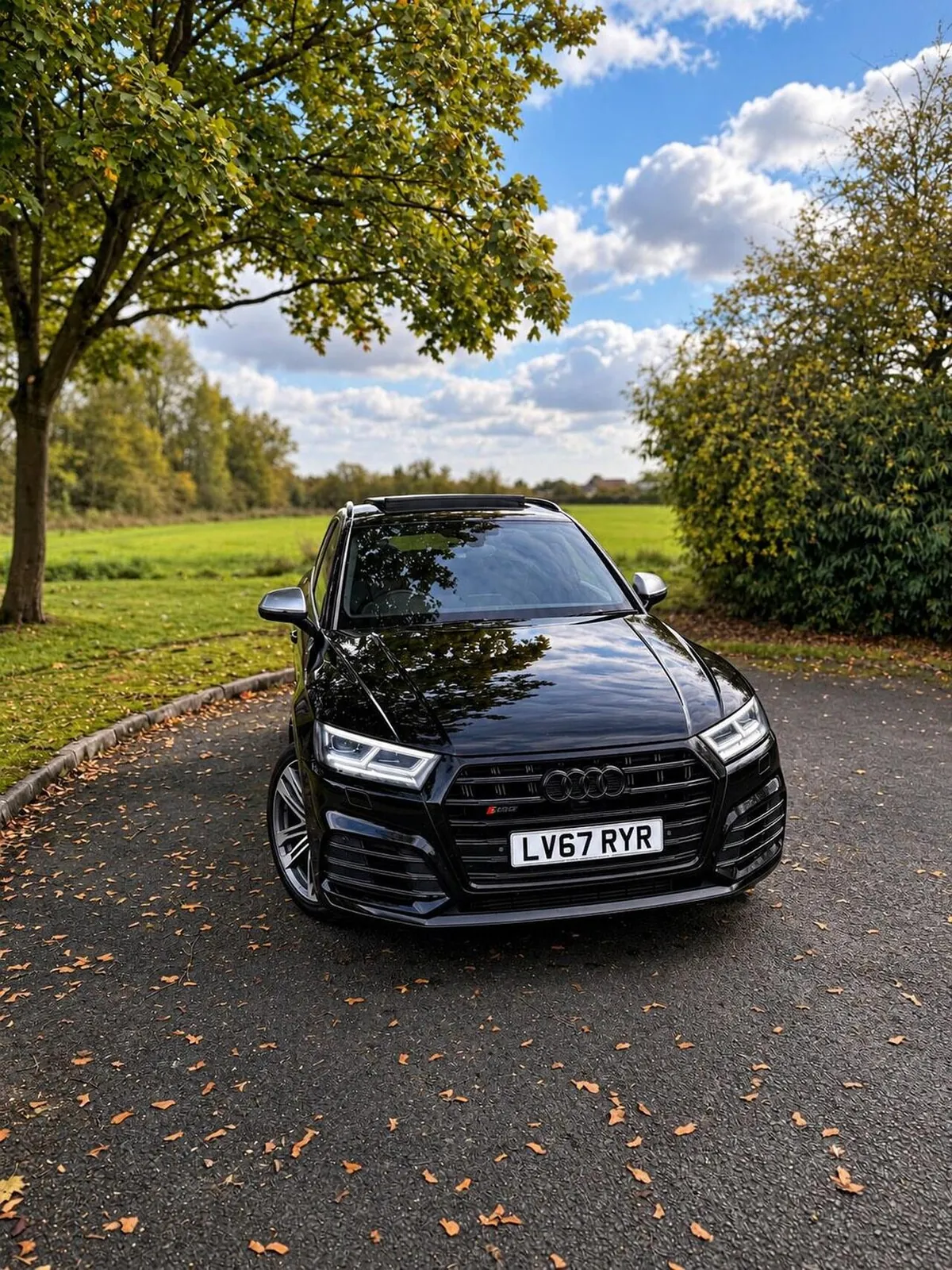 Audi Sq5 2017 photo 3
