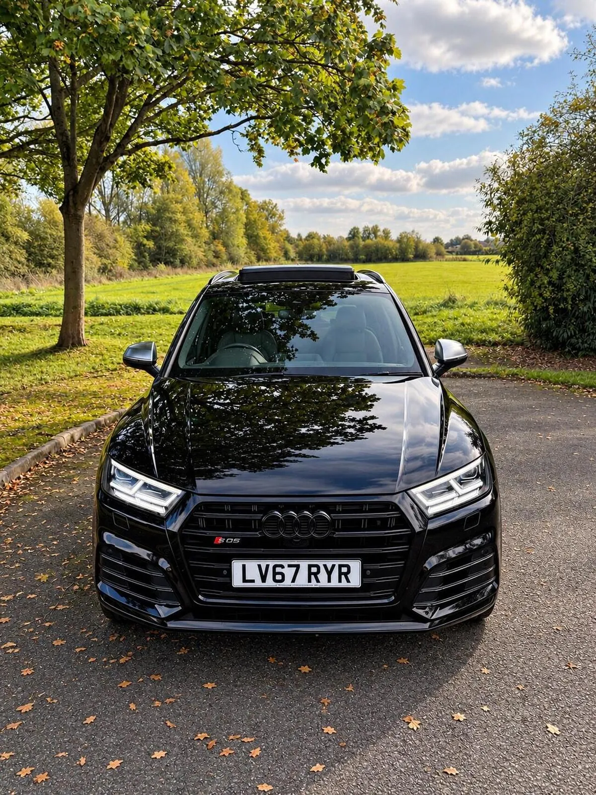 Audi Sq5 2017 photo 5