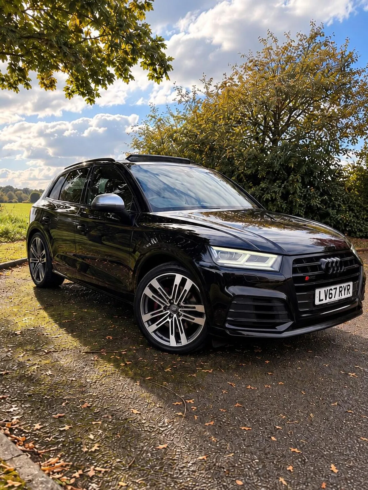 Audi Sq5 2017 photo 2