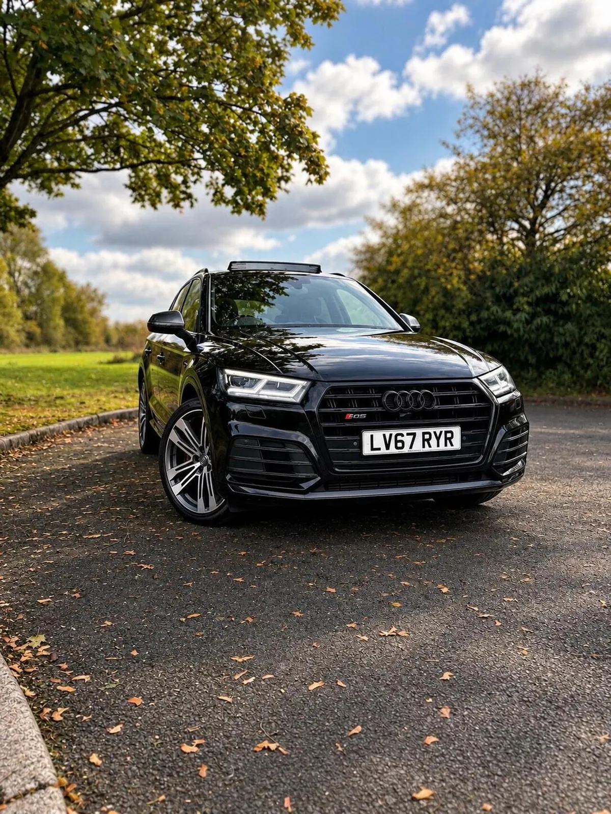 Audi Sq5 2017 photo 4