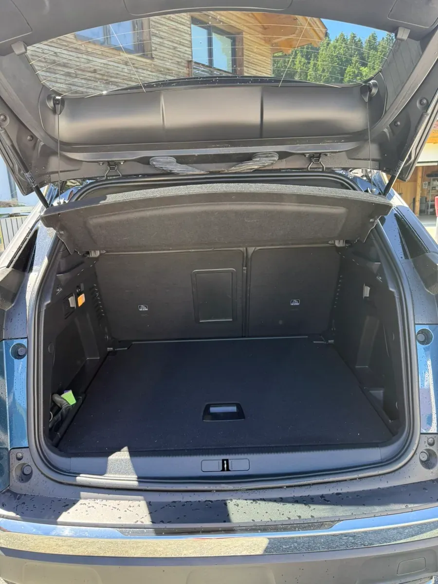 Peugeot 3008 2021 photo 3