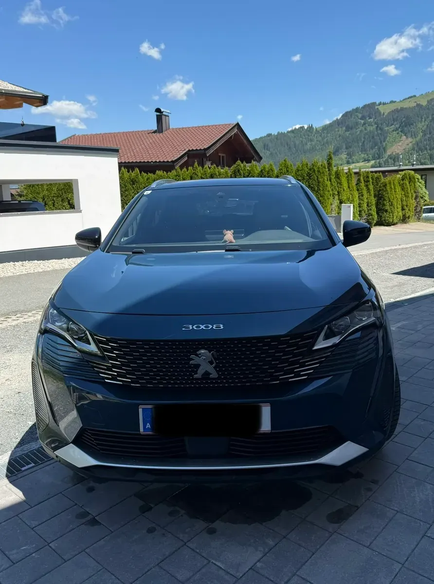 Peugeot 3008 2021 photo 2