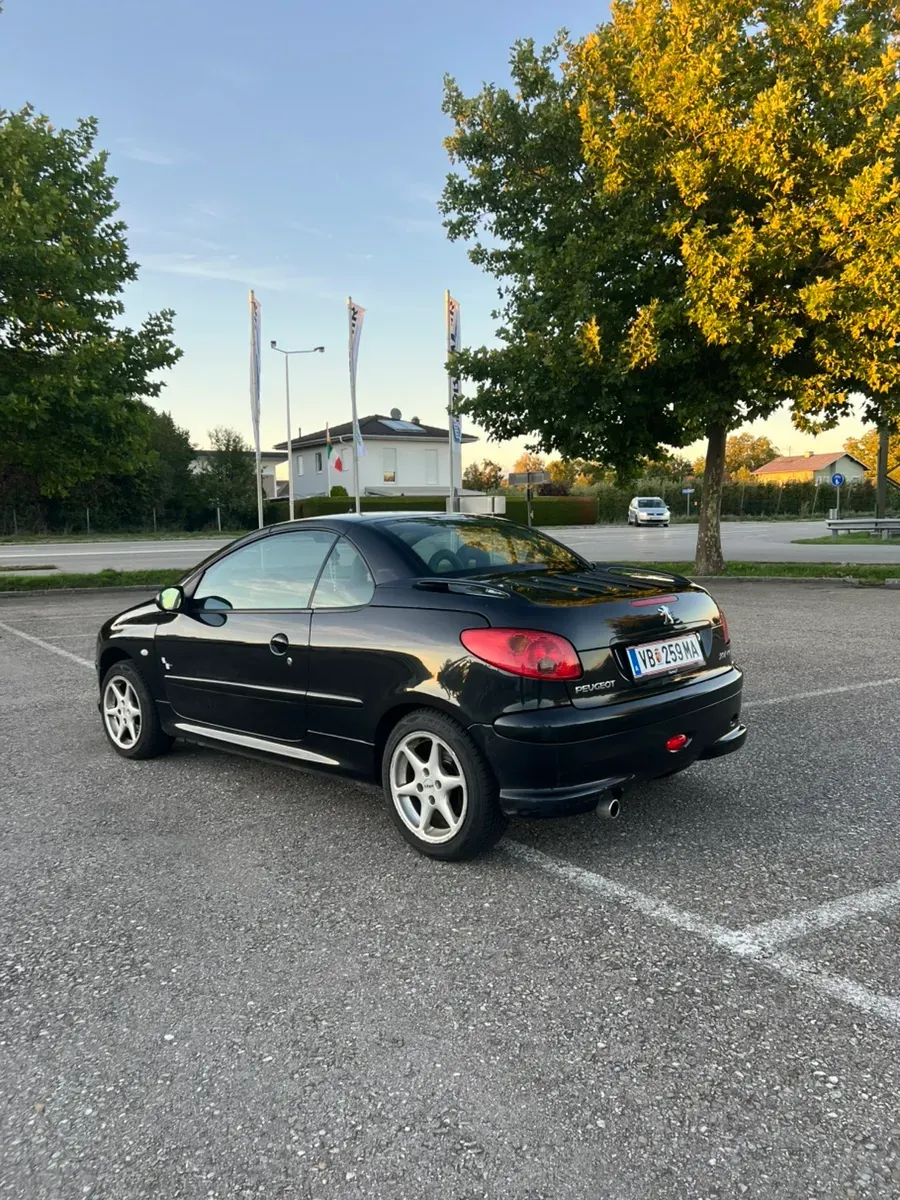 Peugeot 206 2004 photo 3
