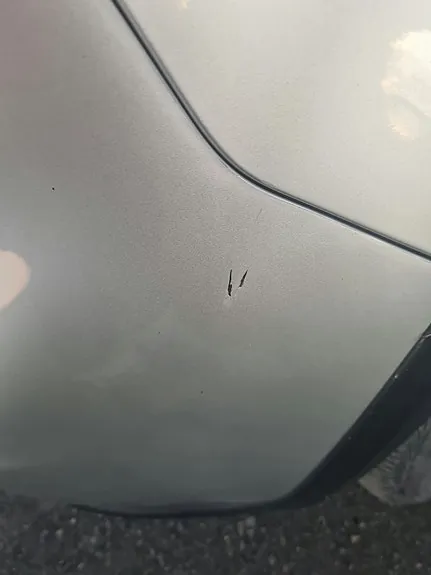 Suzuki Sx4 2008 photo 2