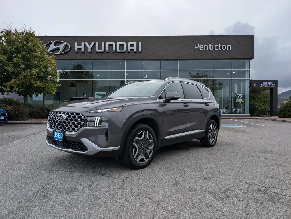Hyundai Santa Fe 2021 photo 2