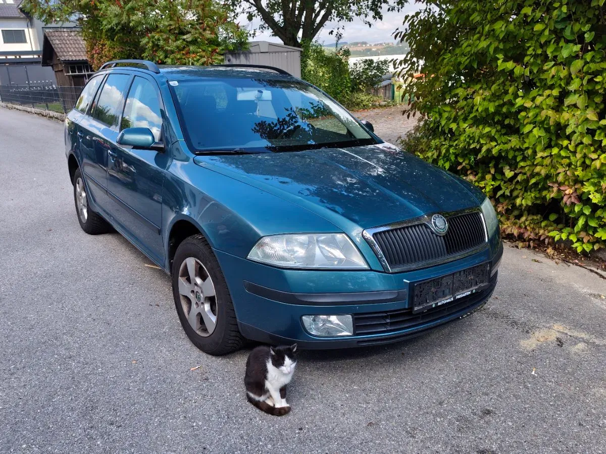 Skoda Octavia 2005 photo 2
