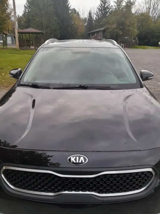 Kia Niro 2019 photo 2