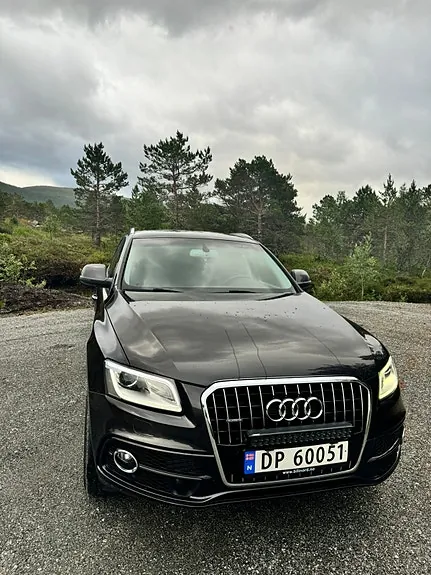 Audi Q5 2014 photo 2