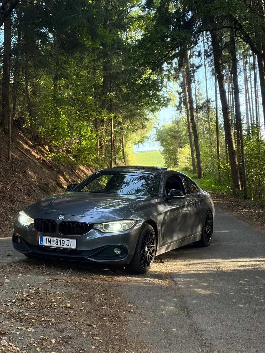 BMW 4 Series 2015 photo 2