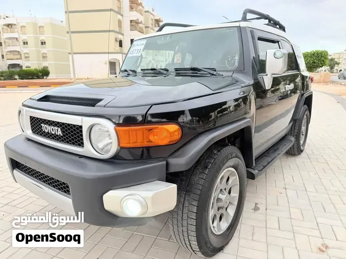 Toyota Fj 2010 photo 2