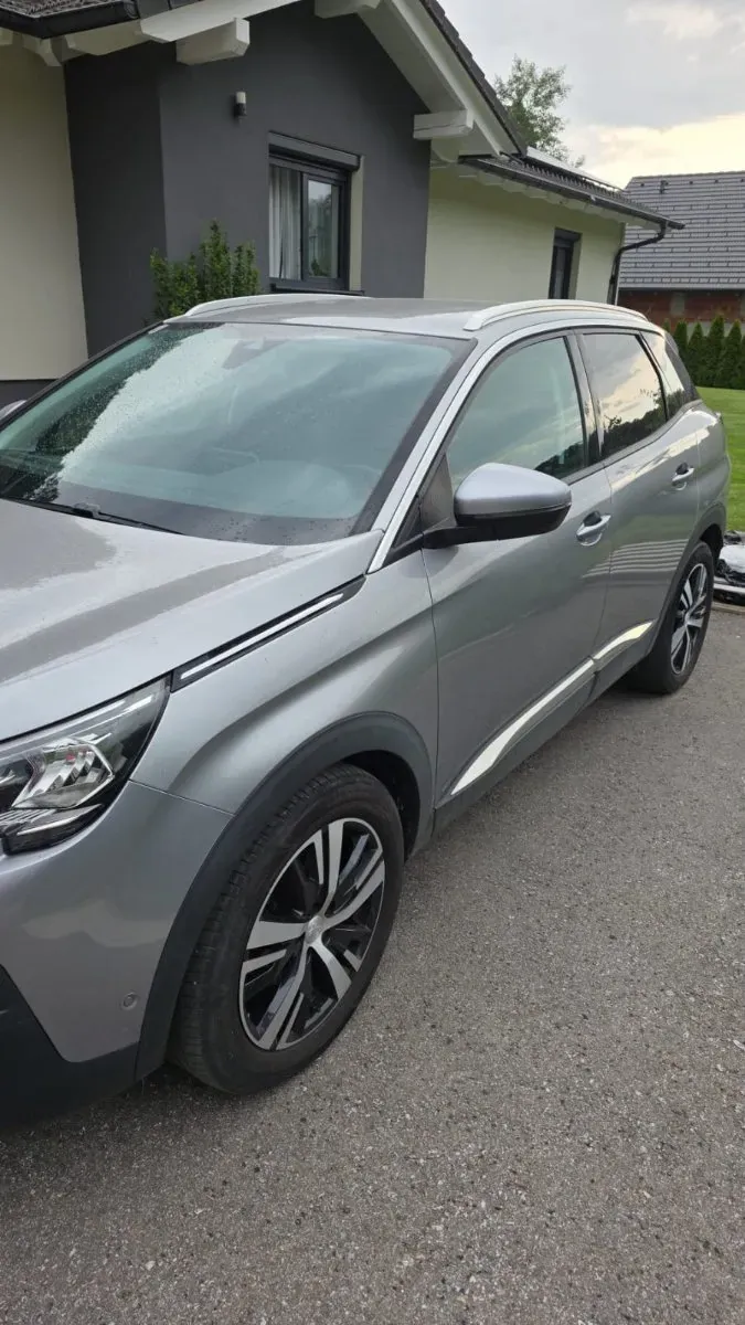 Peugeot 3008 2019 photo 3