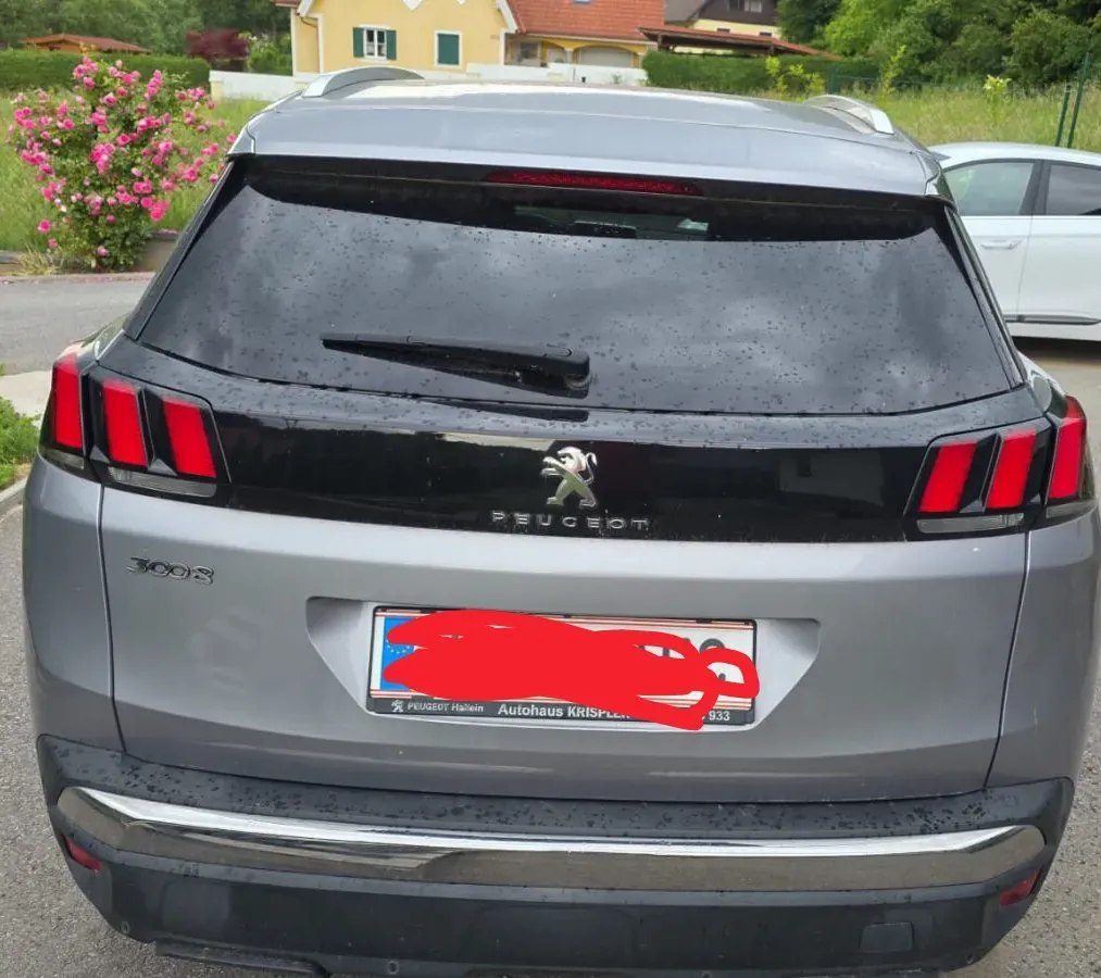 Peugeot 3008 2019 photo 2