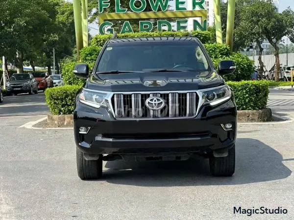Toyota Prado 2019 photo 5