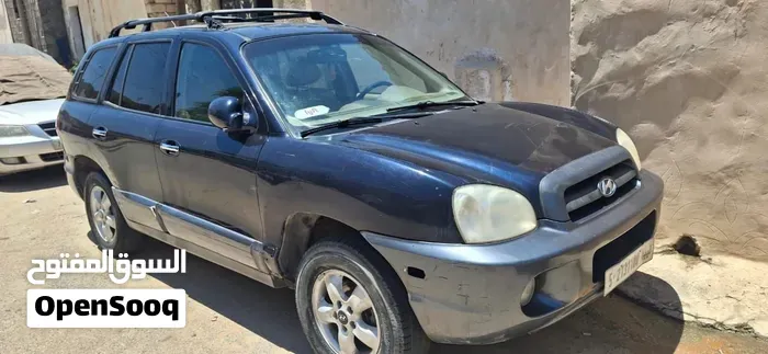 Hyundai Santa Fe 2005 photo 4