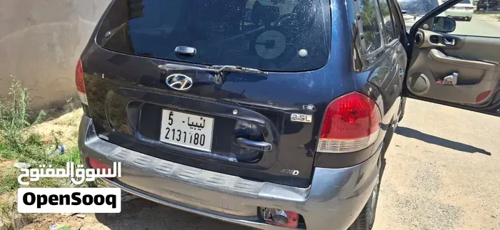 Hyundai Santa Fe 2005 photo 2