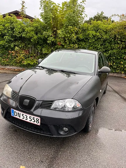 Seat Ibiza 2006 photo 2