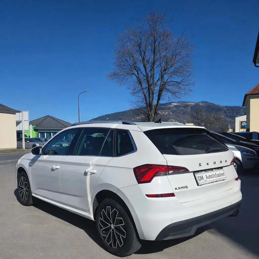 Skoda Kamiq 2021 photo 3