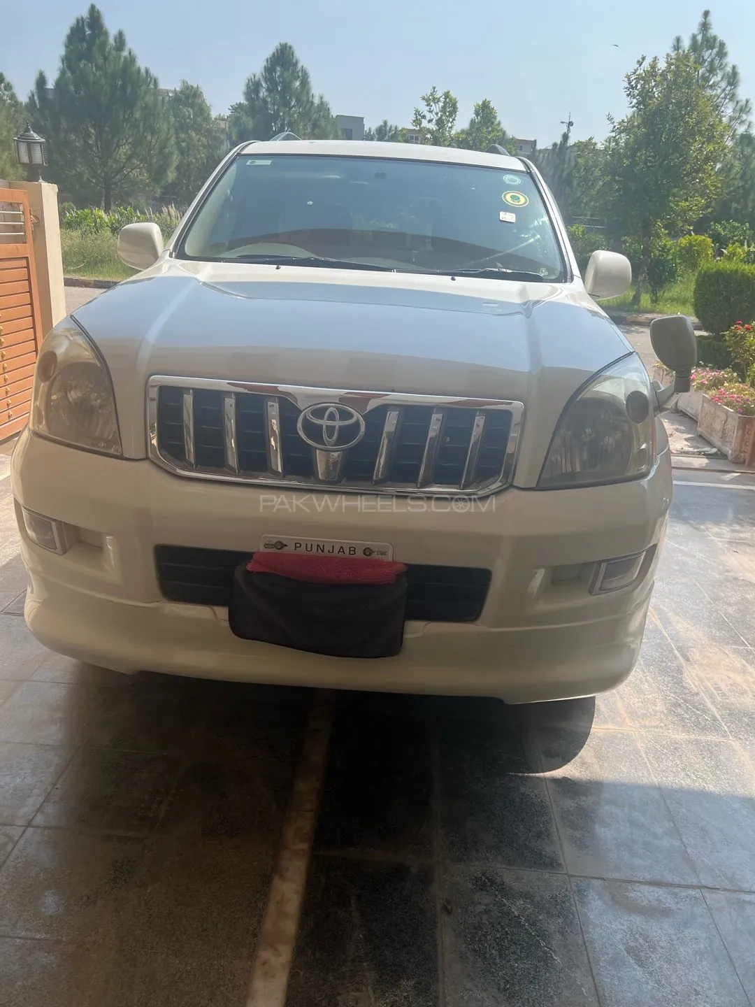 Toyota Prado