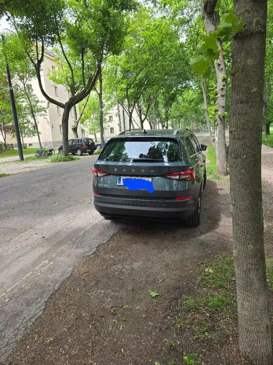 Skoda Kodiaq 2019 photo 2