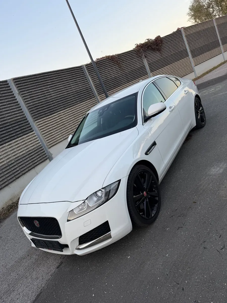 Jaguar Xf