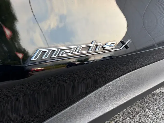 Ford Mustang Mach-E 2021 photo 3