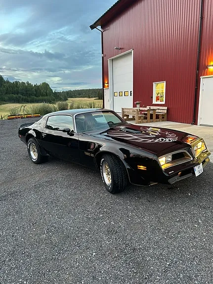 Pontiac Trans Am 1978 photo 3