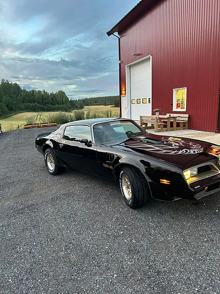 Pontiac Trans Am 1978 photo 2