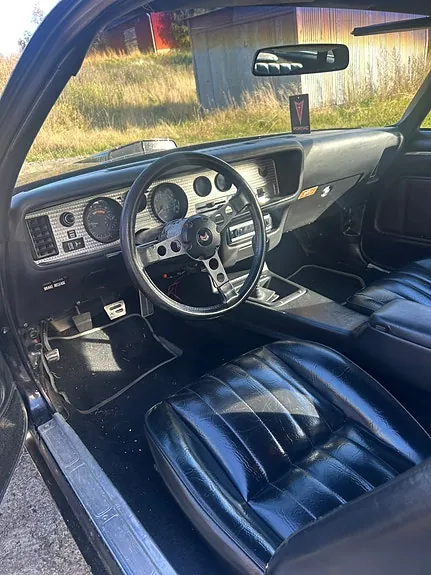 Pontiac Trans Am 1978 photo 5
