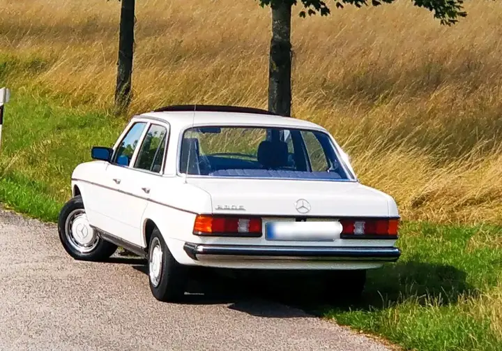 Mercedes-Benz W123