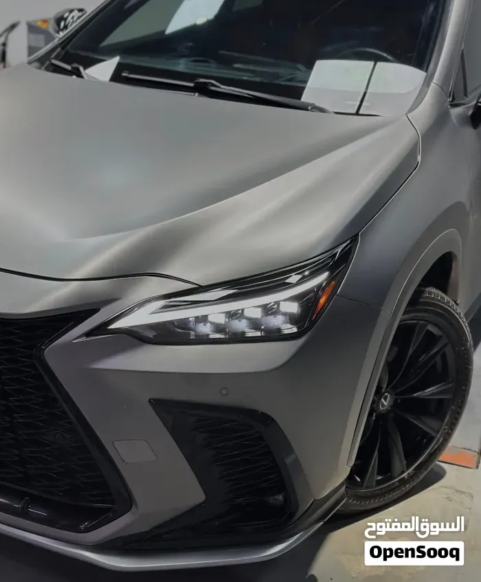 Lexus Nx 350 F Sport Handling 2023 photo 5