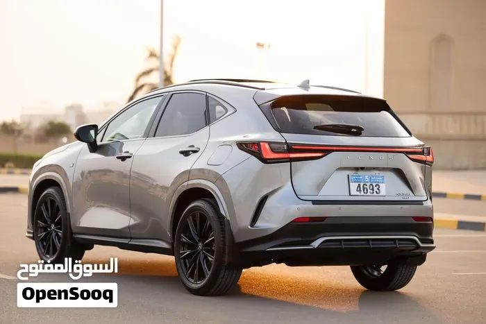 Lexus Nx 350 F Sport Handling 2023 photo 3