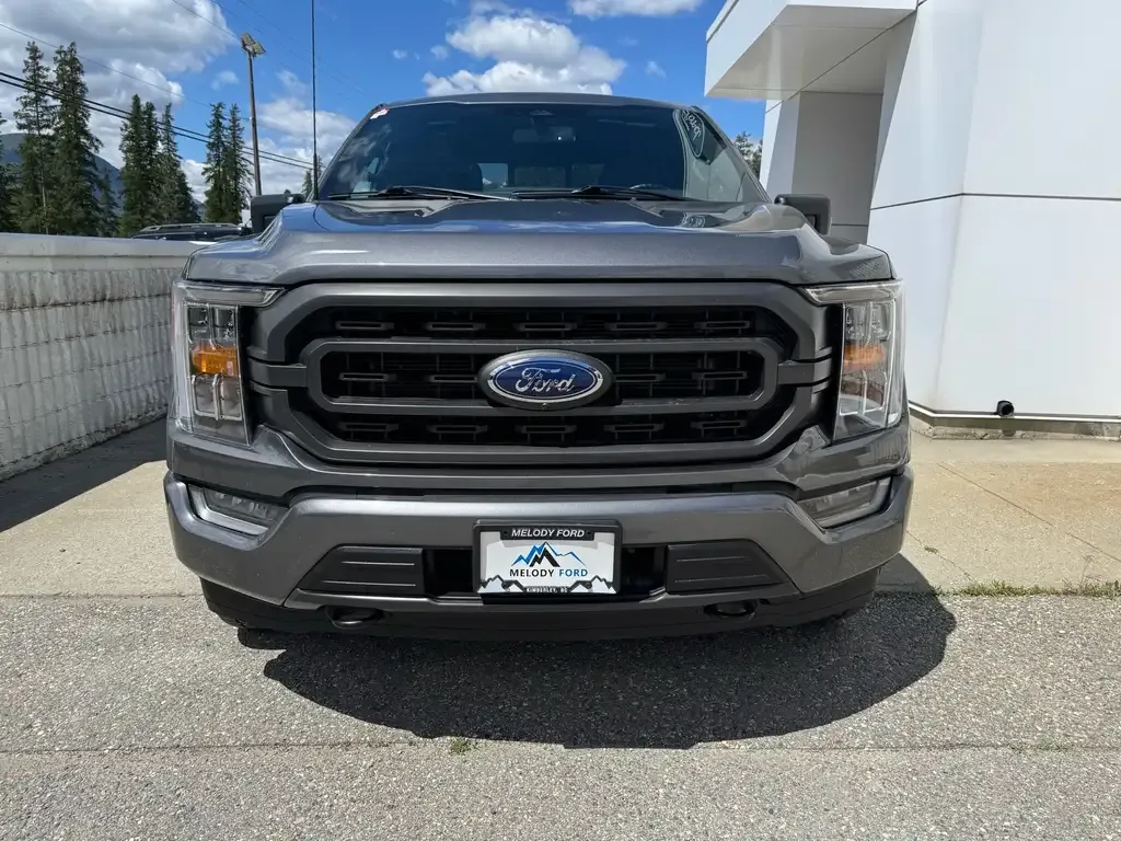 Ford F-150 2023 photo 2